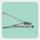 Search for dragon fly stickers Nature