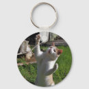 Search for fierce key rings Cat