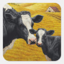 Search for holstein cow stickers Calf