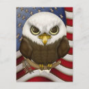 Search for bald eagle and american flag postcards Veteran