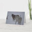 Search for winter horse cards Equine