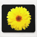 Search for fluorescence electronics Yellow