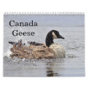 Search for geese calendars Waterfowl