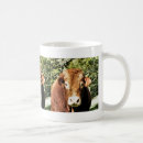 Search for bulls mugs Farming