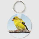 Search for goldfinch key rings Finches