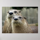 Search for river otter posters Animal