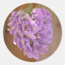 Search for native plants stickers Garden