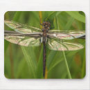 Search for stained glass mousepads Nature