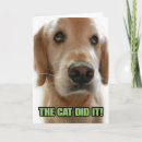 Search for apology humour cards Cute
