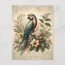 Search for pink parrot postcards Floral