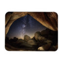 Search for mojave desert magnets Cactus