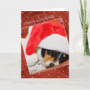 Search for animal rescue christmas cards Pets