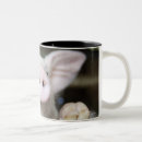 Search for piglets mugs Animal