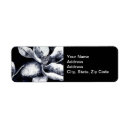 Search for magnolia blossoms return address labels White