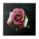 Search for rose drawing coasters Floral