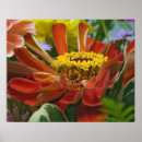 Search for detailed art Close up