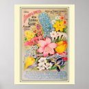 Search for vintage seed catalogues posters Floral