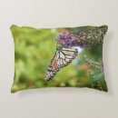 Search for purple butterfly cushions Photography