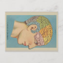 Search for phrenology postcards Anatomy