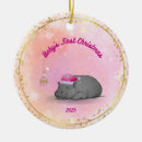 Search for hippo christmas tree decorations Baby