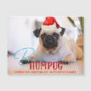 Search for pet christmas invitations Typography