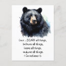Search for 13 postcards Christian
