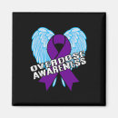 Search for harm magnets Overdose awareness day