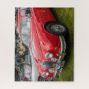 Search for luxury puzzles Car