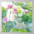 Search for perennials Pretty