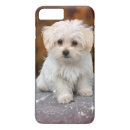 Search for maltese dog iphone cases Adorable