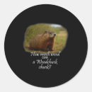 Search for woodchuck stickers Groundhog day 2025
