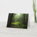 Search for trunk cards invites Forest