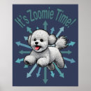 Search for bichons posters Bichon frise