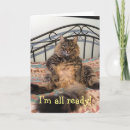 Search for cat thanksgiving cards Turkey