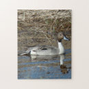 Search for duck puzzles Nature photography