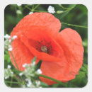 Search for field of flowers stickers Bright