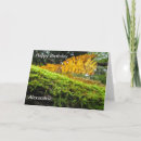 Search for trunk cards Forest