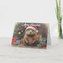 Search for beaver cards Animal