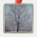 Search for freezing christmas tree decorations Frozen