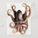 Search for kraken postcards Monster