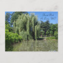 Search for willow photography Nature