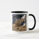 Search for cow head mugs Animal body part