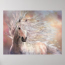 Search for andalusians posters Stallion