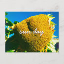 Search for sunflower quotes postcards Yellow