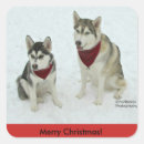 Search for huskies stickers Happy