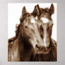 Search for iii photography Animals