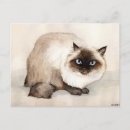 Search for himalayan cat postcards Pet