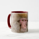 Search for snow monkey mugs Primate