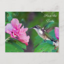 Search for bird save postcards Green