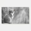 Search for best friend post it notes Cute